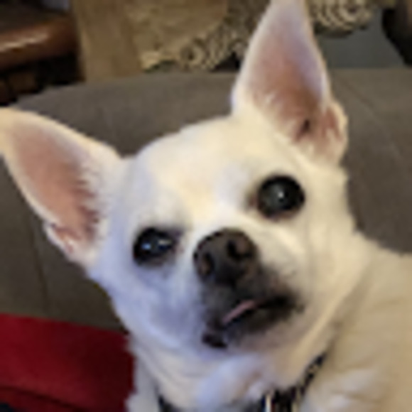 Meet your Posher, Jodee - Picture 1 of 1